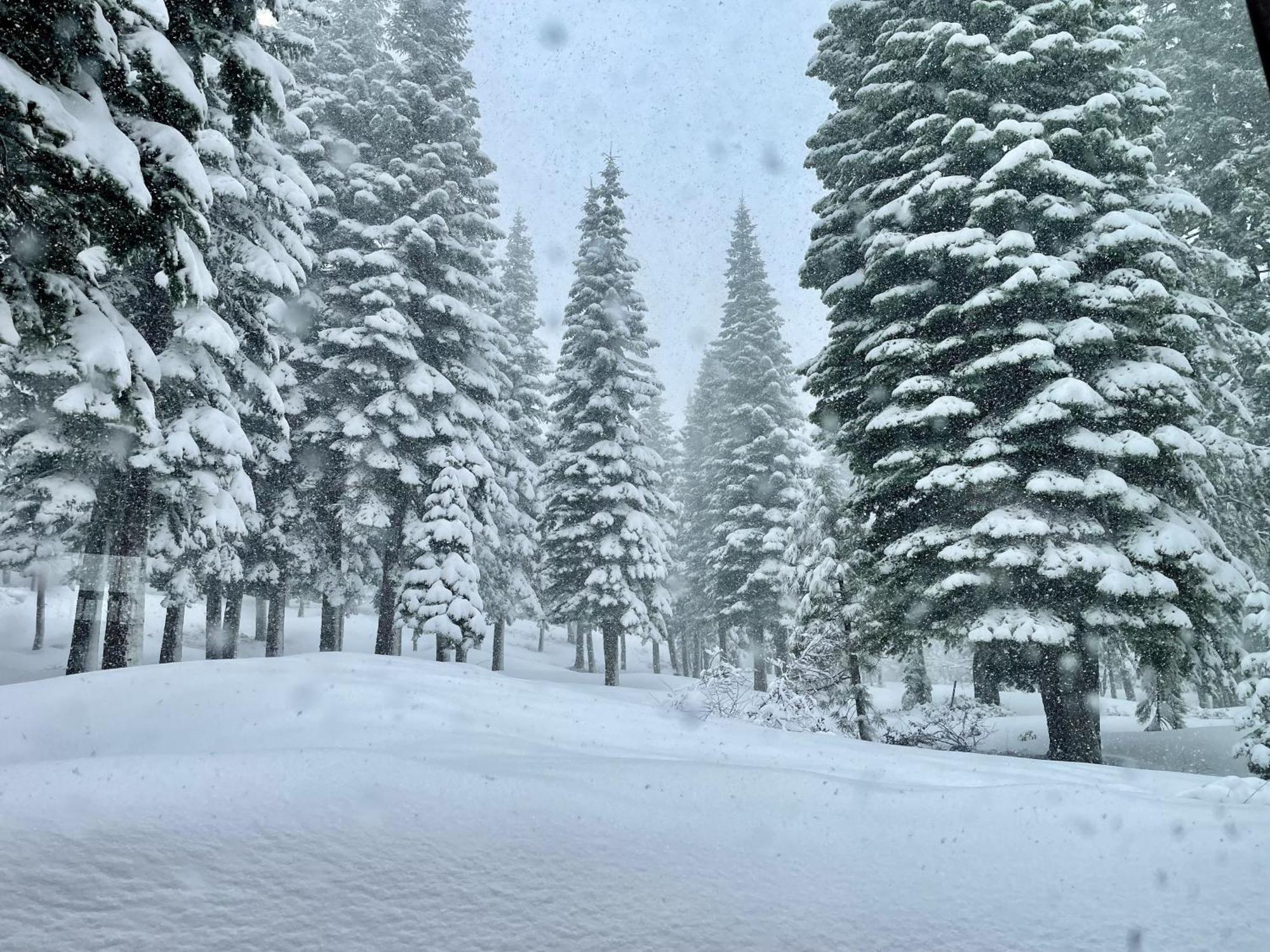 Bear Meadows Lodge - Hot Tub - Tahoe Donner Home تروكي المظهر الخارجي الصورة